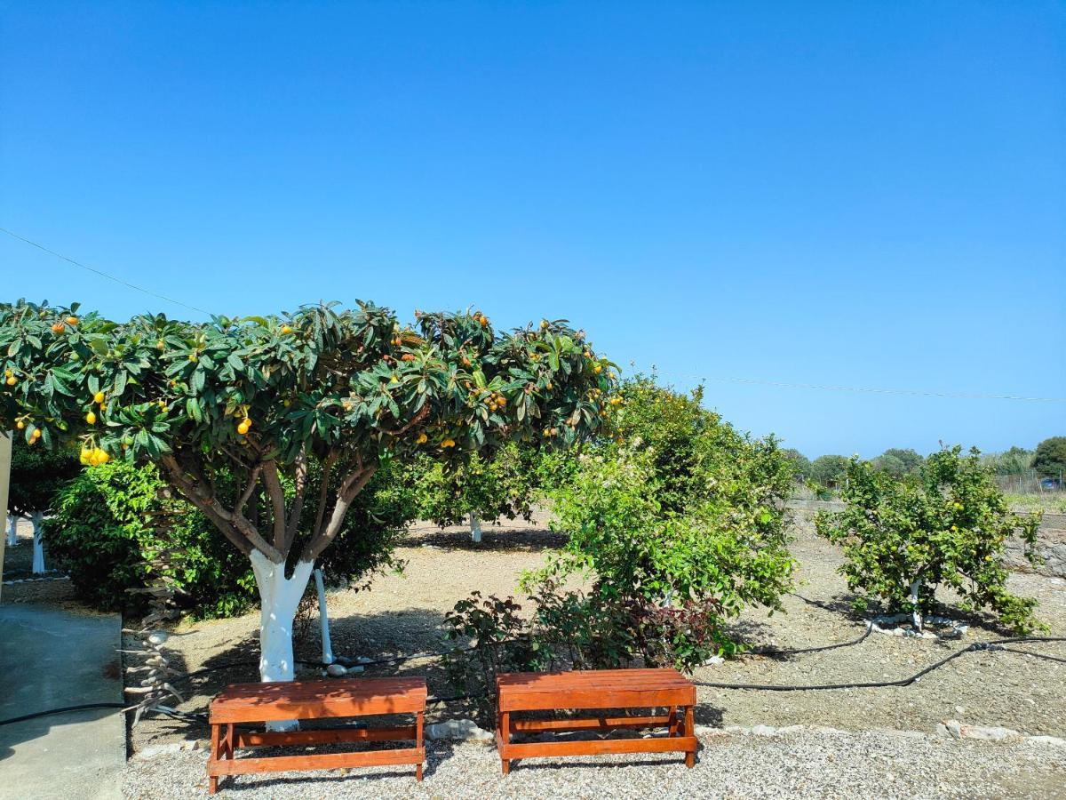 Garden View Appartment Kalavarda Ngoại thất bức ảnh