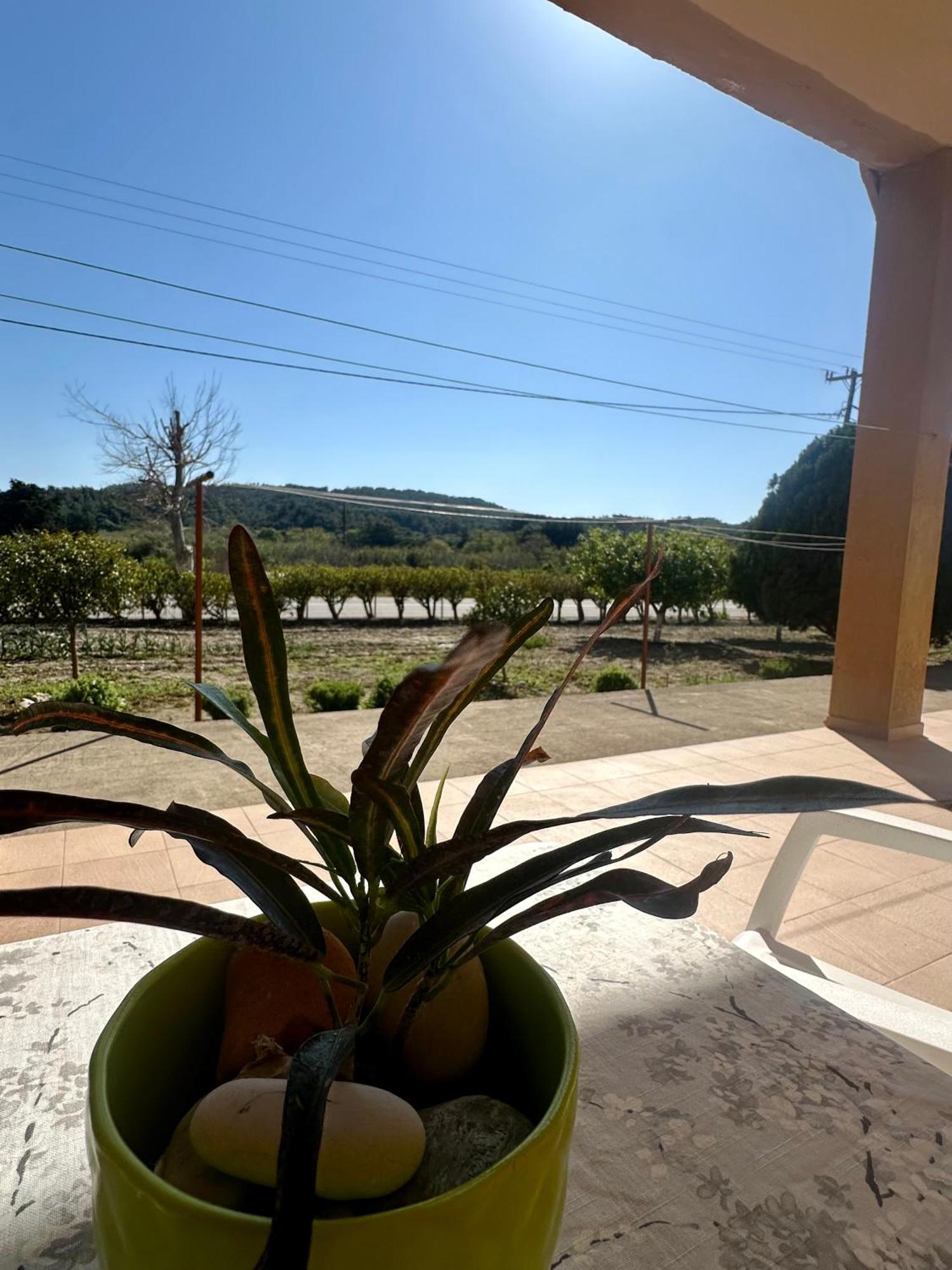 Garden View Appartment Kalavarda Ngoại thất bức ảnh